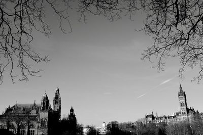 Low angle view of trees against sky