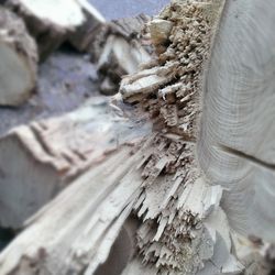 Close up of wood