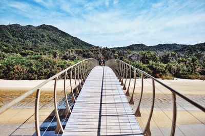 Bridge over the shore against lush foliage