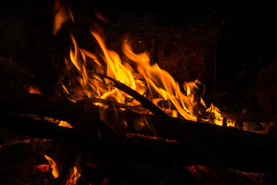 Close-up of fire in the dark