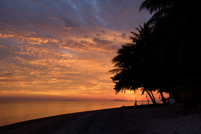 Silhouette trees on beach against sky at sunset