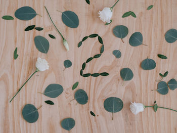 High angle view of leaves and flowers on table