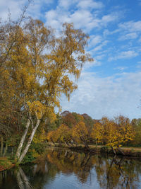 Scenic view of lake by trees against sky