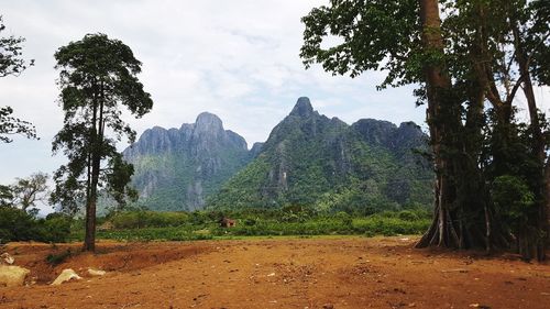 Trees and mountains against sky