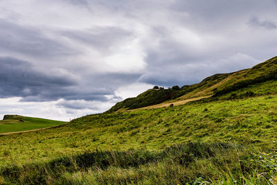 Scenic view of grassy field against sky