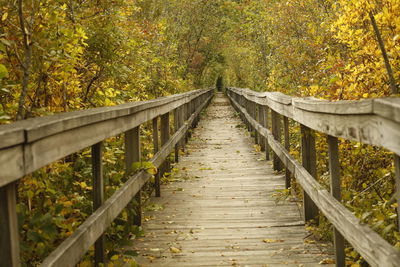 Wooden footbridge in forest during autumn