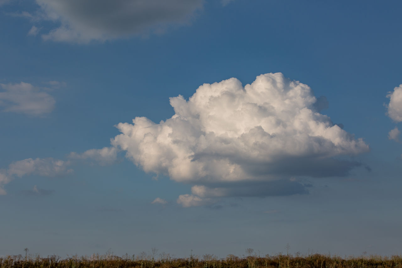 LOW ANGLE VIEW OF CLOUDY SKY OVER LAND