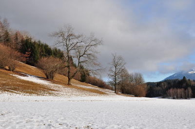 Bare trees on snow covered landscape against sky