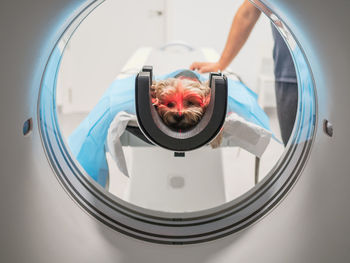 Little dog lying on table ear mri equipment while being scanned in modern veterinary clinic by anonymous veterinarian