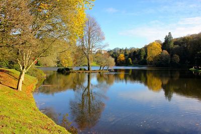 Reflection of trees in lake during autumn