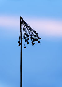 Low angle view of silhouette telephone pole against blue sky