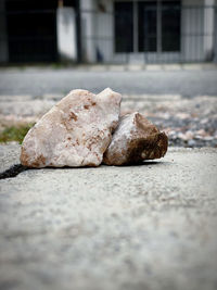 Surface level of rocks on road