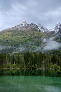 Scenic view of lake by trees against sky