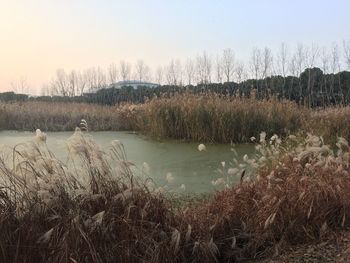 Scenic view of lake against sky