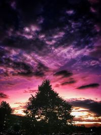 Low angle view of silhouette trees against dramatic sky