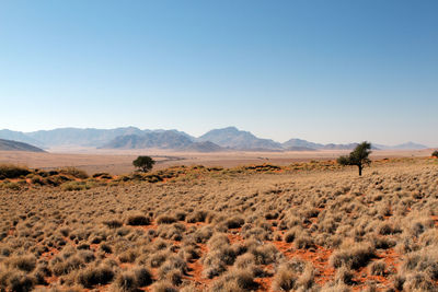 View of a desert