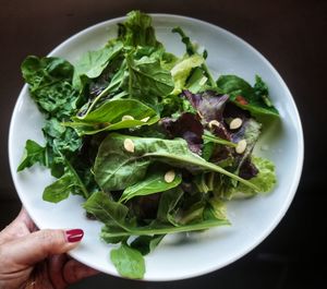 High angle view of salad in plate on table