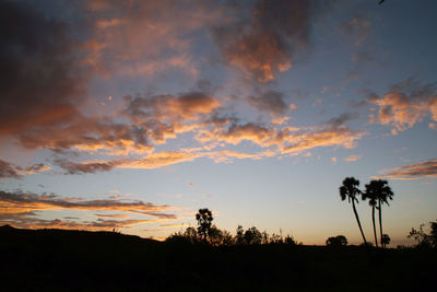 Silhouette palm trees against scenic sky