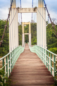 View of footbridge along trees