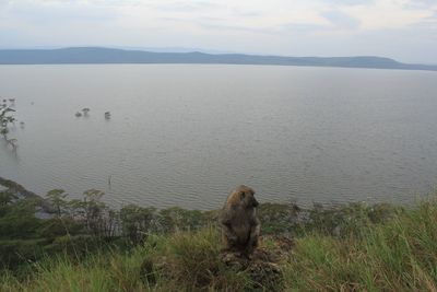 Scenic view of lake against sky