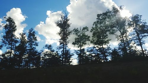 Low angle view of trees against cloudy sky