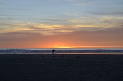 Silhouette person on beach against sky during sunset