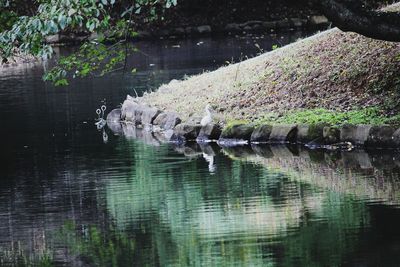 Scenic view of lake