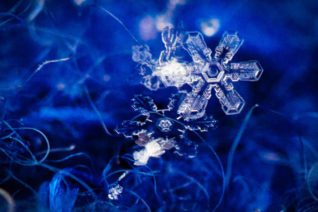 Macro snowflake