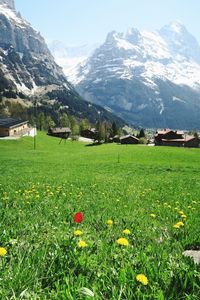 Scenic view of grassy field against mountains