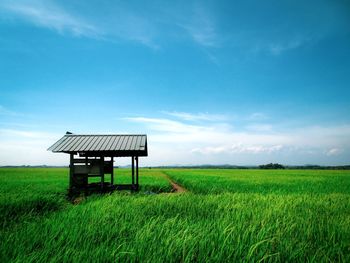 Lifeguard hut on field against sky