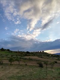 Scenic view of field against sky