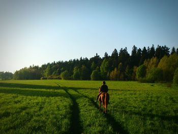 Rear view of woman riding horse on grassy field against clear sky