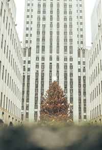 Low angle view of skyscrapers