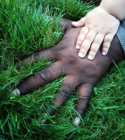 High angle view of woman touching grass