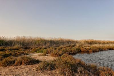 Scenic view of land against clear sky