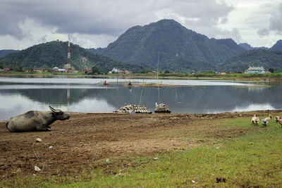 Scenic view of lake and mountains against sky