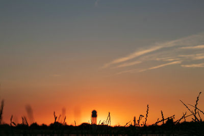 Silhouette plants on field against sky during sunset