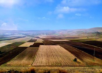 Scenic view of agricultural field against sky