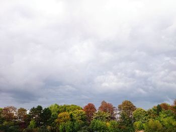 Low angle view of trees against cloudy sky