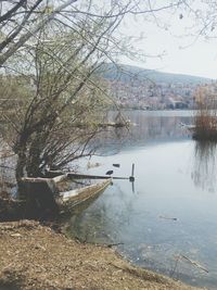 Reflection of trees in lake against sky