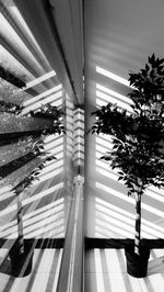 Modern building interior