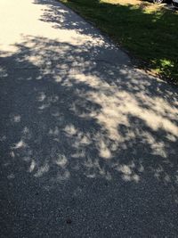 High angle view of shadow on road