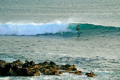 A talented surfer riding on the big waves in pacific ocean at of hanga roa, easter island, chile