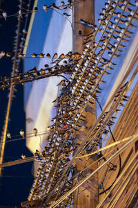 Low angle view of illuminated ferris wheel