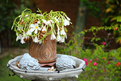 Plumeria flowers adorn in the clay vases