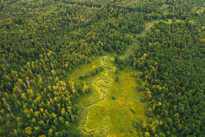 Aerial landscape of winding river in green field, top view of beautiful nature background from drone