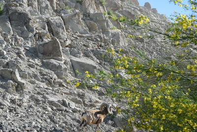 Full frame shot of mountain