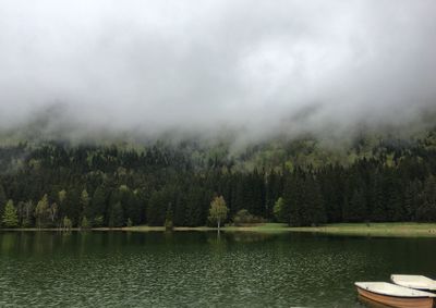 Scenic view of lake against trees in forest