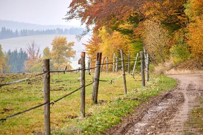 Fence by trees on field during autumn