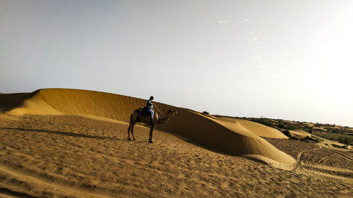 View of horse riding in desert